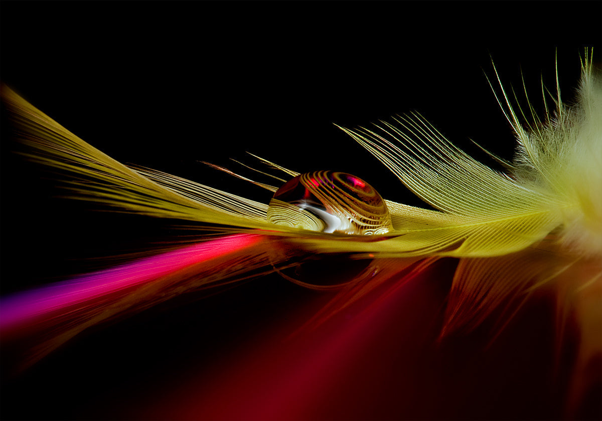 Colores en la gota