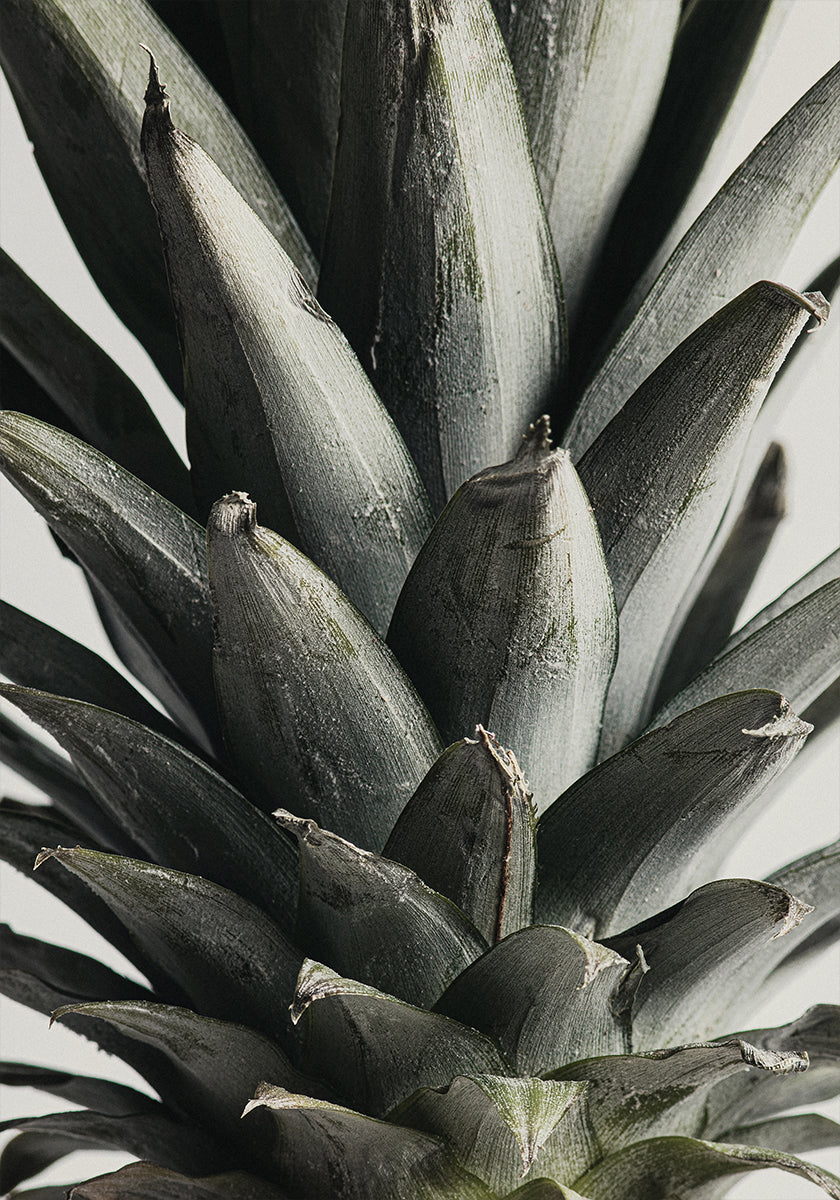 Póster Piña de cerca