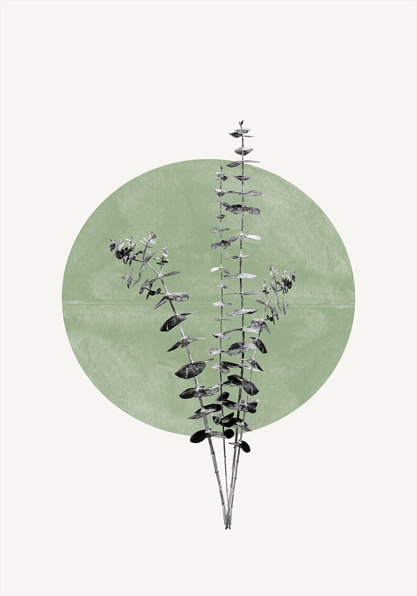 Eco de la naturaleza Póster