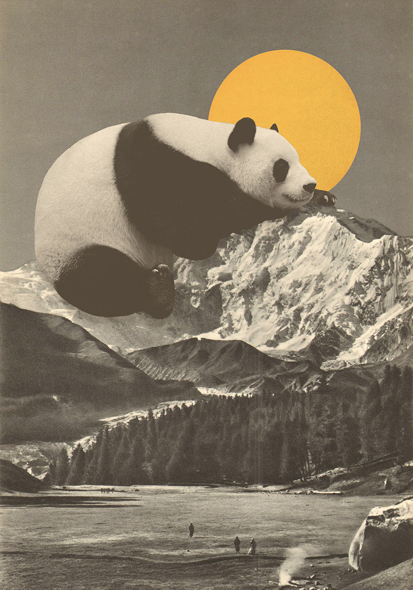 Siesta del Panda Gigante (NUEVO)