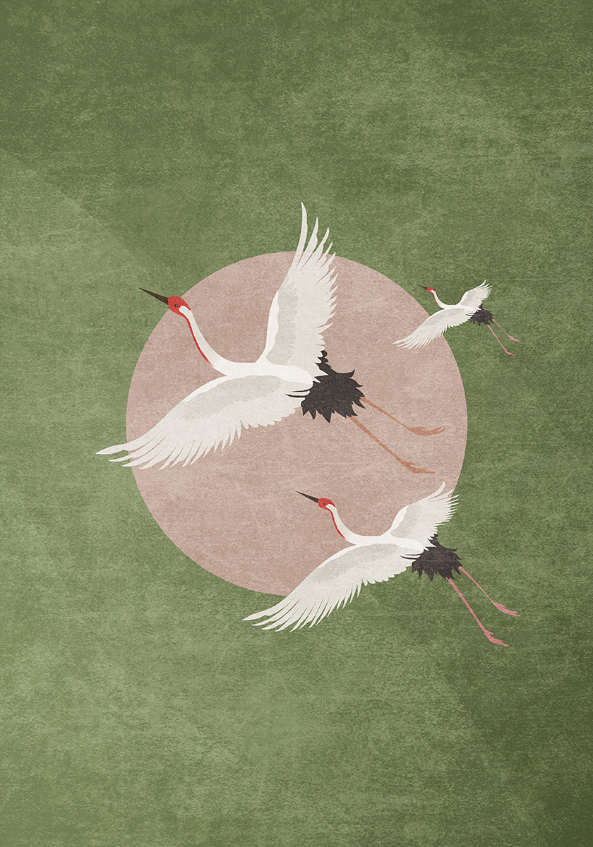 Grúas en vuelo (NUEVO)