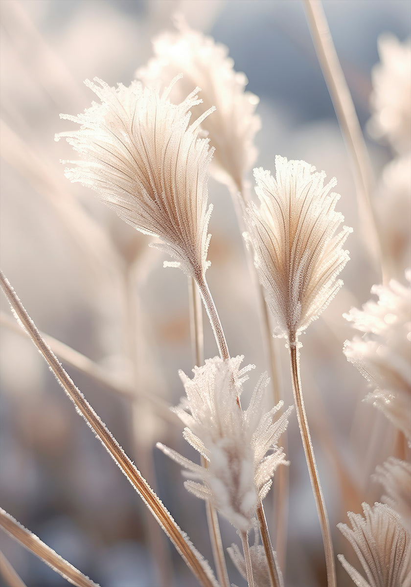 Elegancia helada Póster
