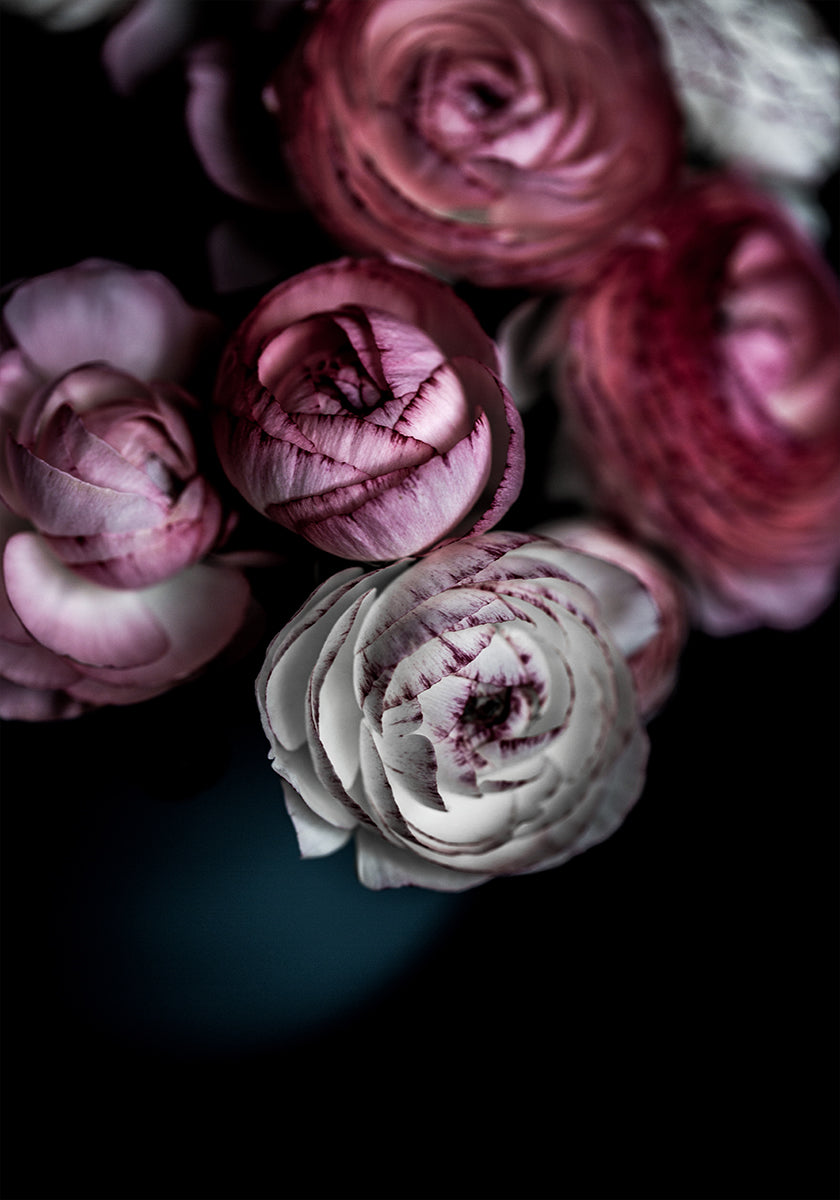 Flores oscuras 2