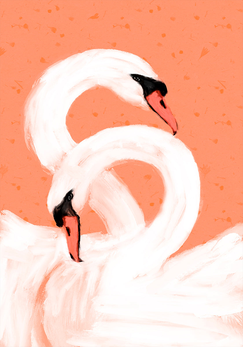 Cisnes agraciados