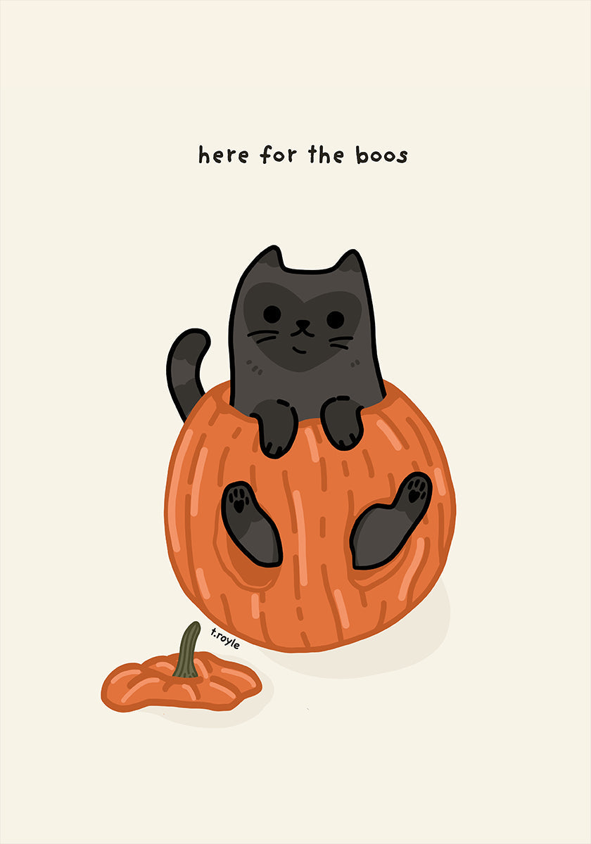 Gato negro sentado juguetonamente en una calabaza