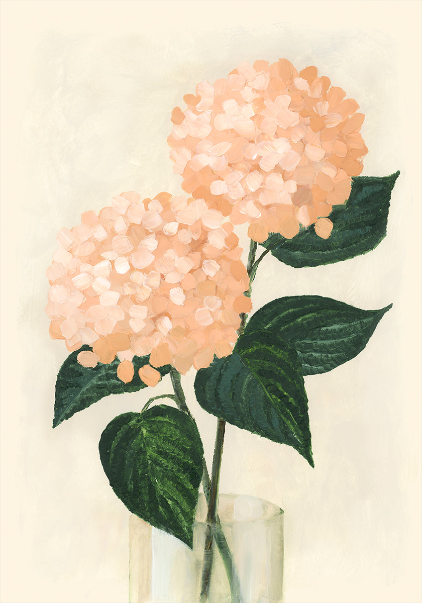 Hortensias de coral en un jarrón.