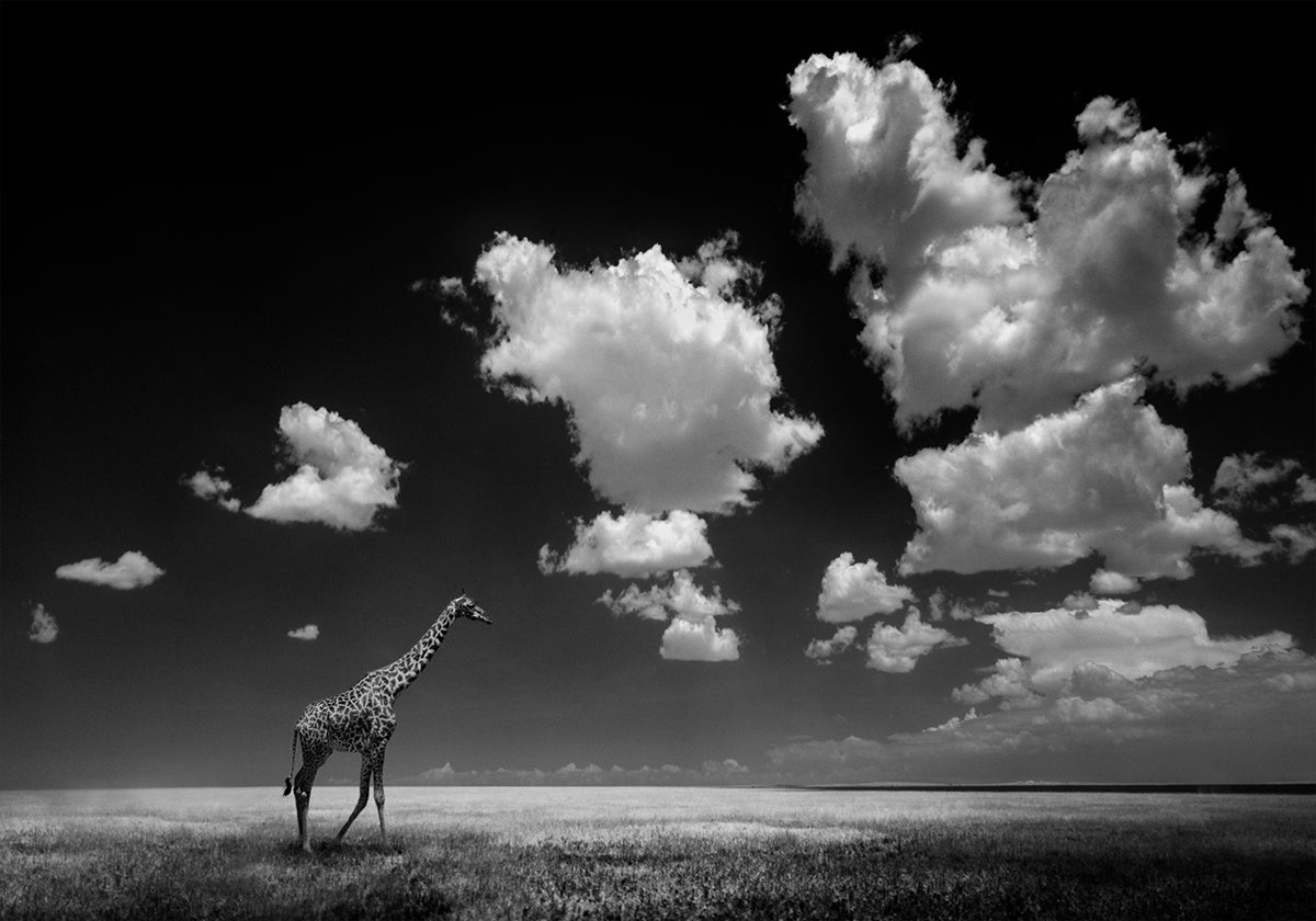 Lo que las nubes se llevaron