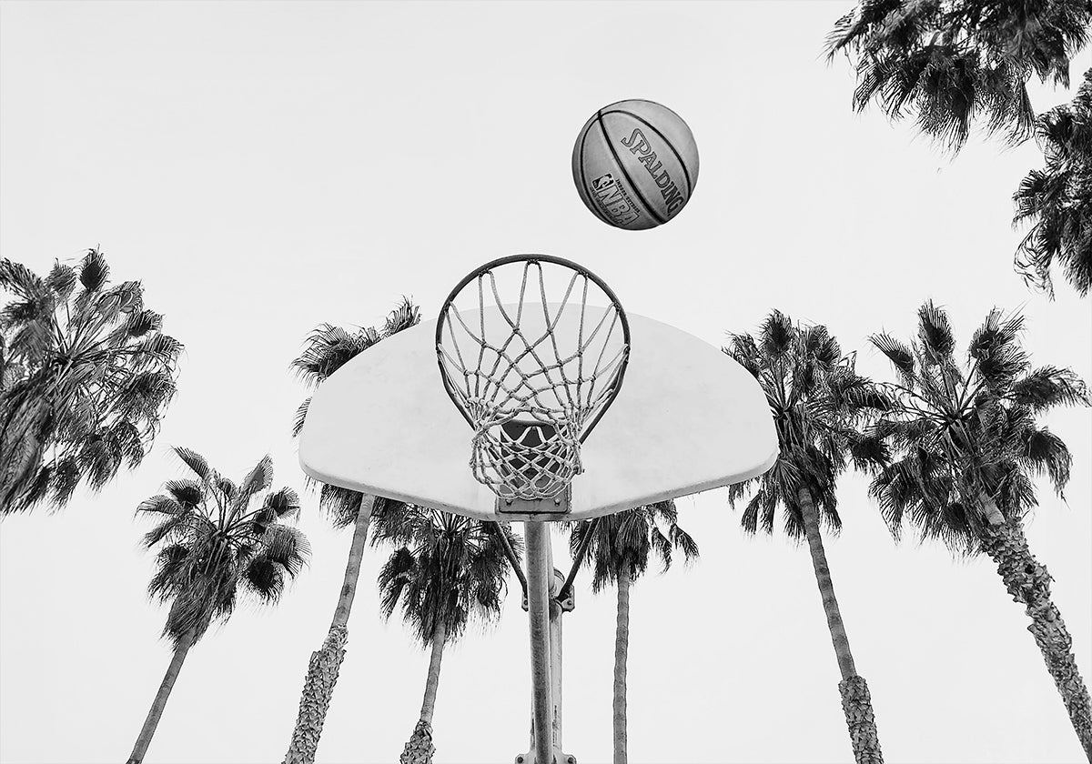 Baloncesto Póster