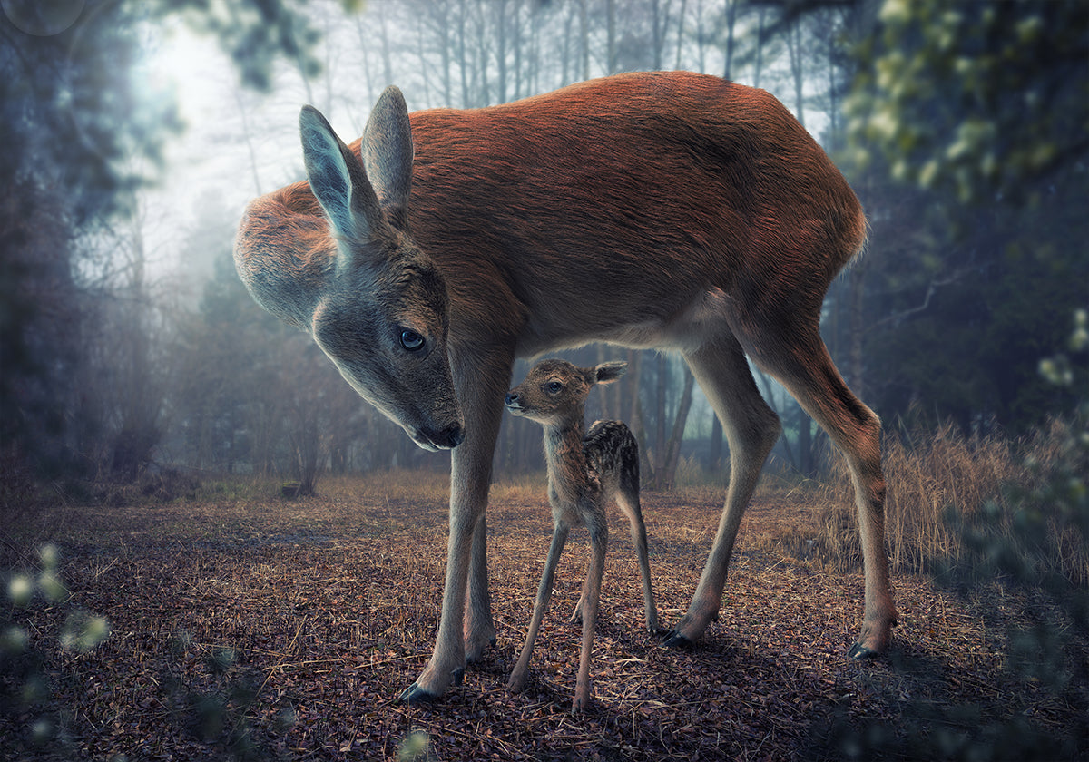madre y cervatillo
