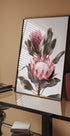 Protea Flowers Plakat - Posterbox.no