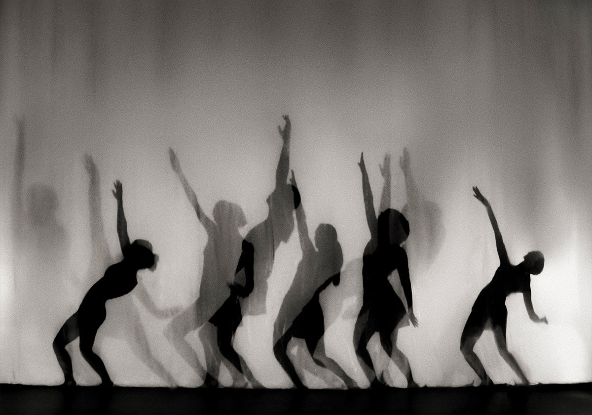 La danza es el lenguaje del alma...