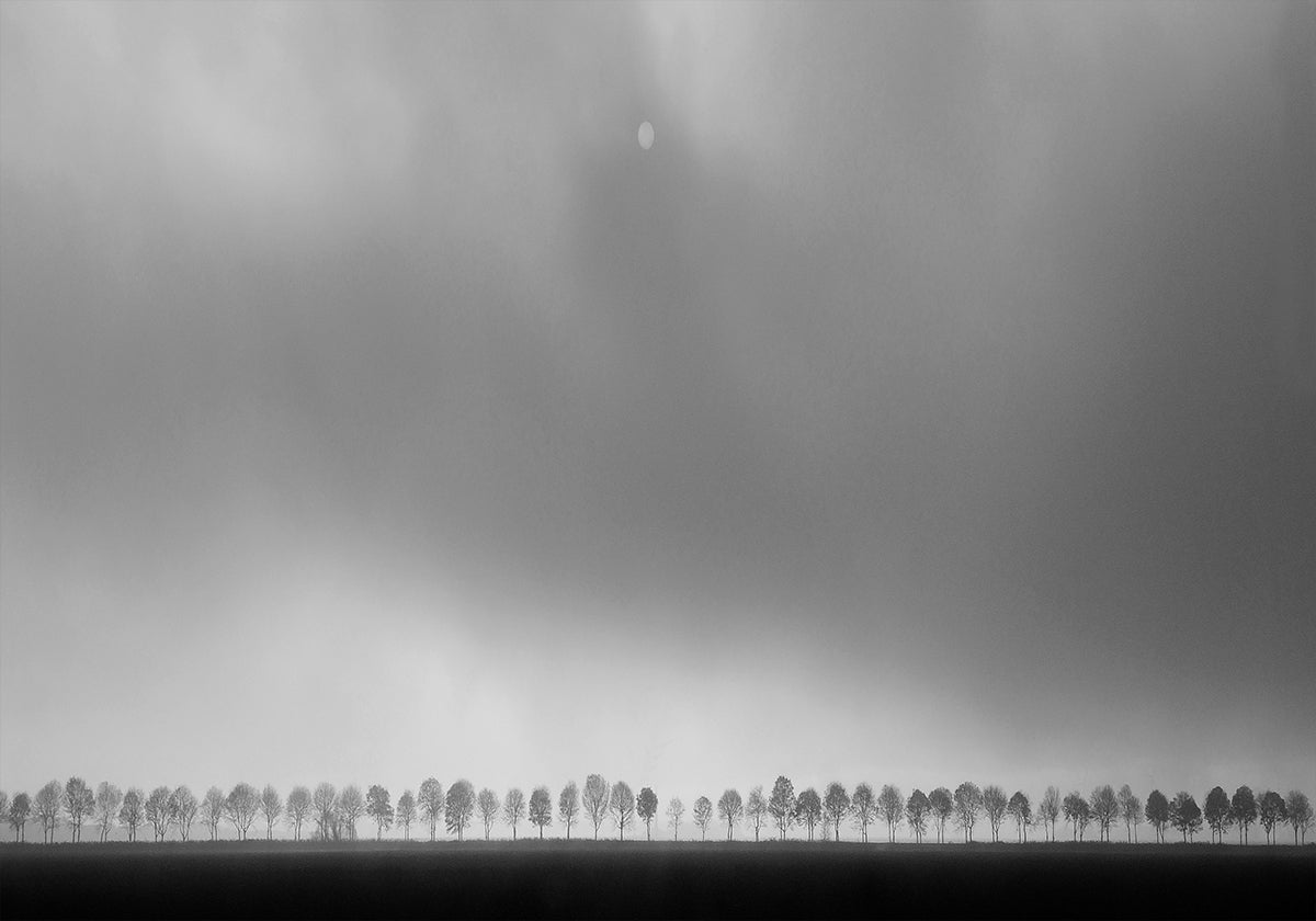 Paisaje de pólder