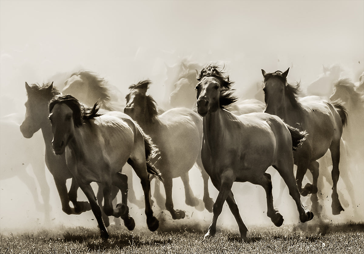 Caballo