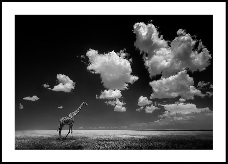 Lo que las nubes se llevaron