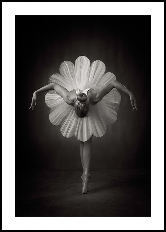 Ballet floral Póster
