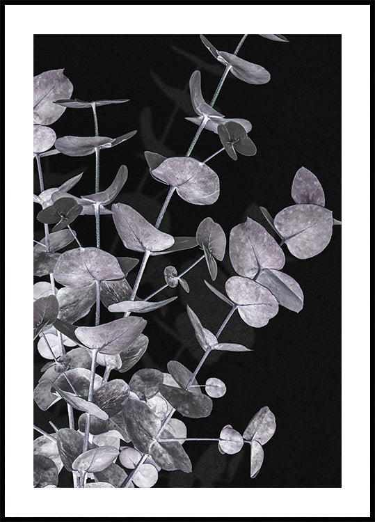 Eucalipto Negativo No.3 Póster