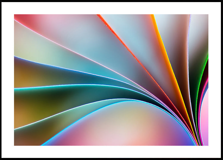 colores Póster