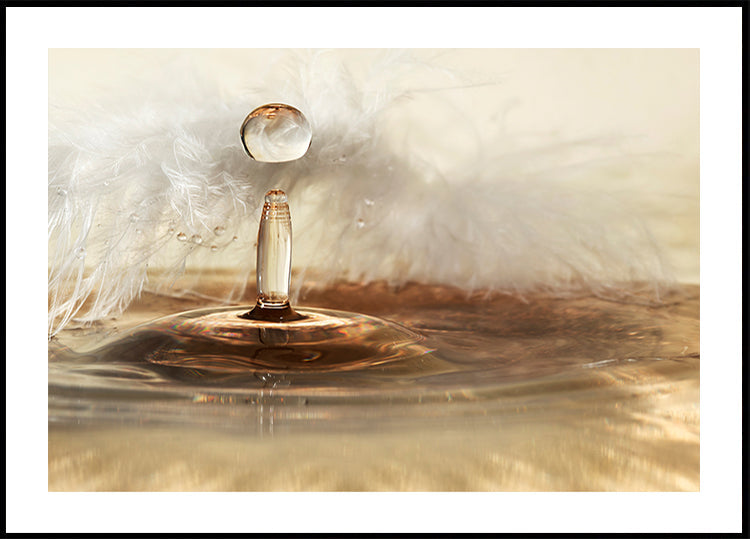 Gotas de plumas doradas