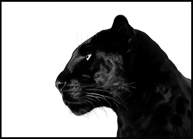 Perfil de pantera negra Póster