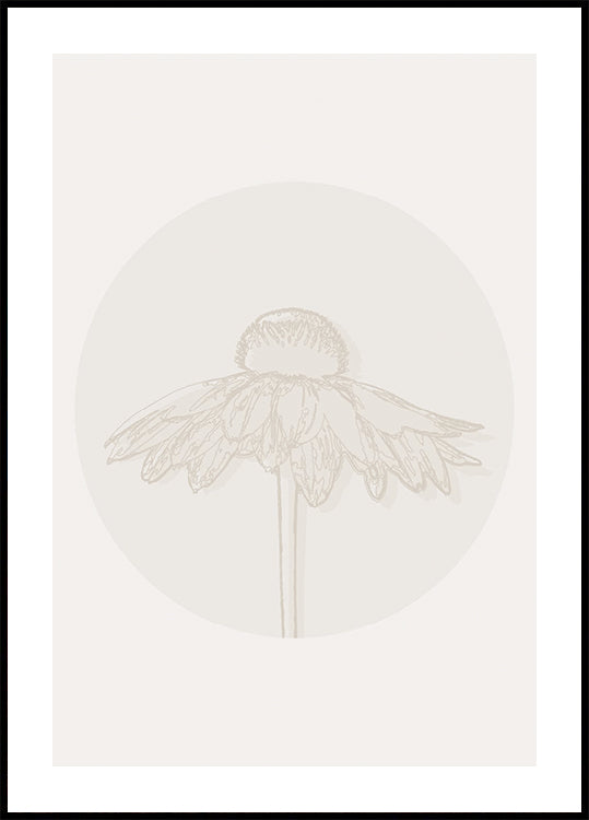 Gaillardia Bloom, arte lineal botánico Póster