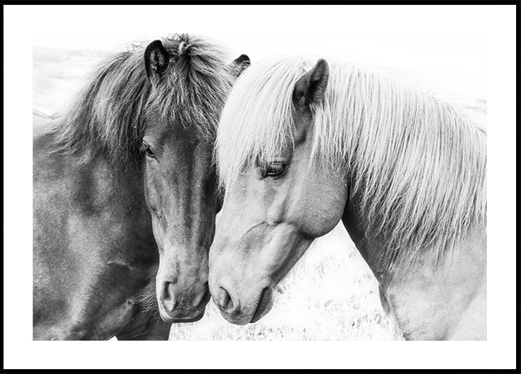 Amor de caballo Póster
