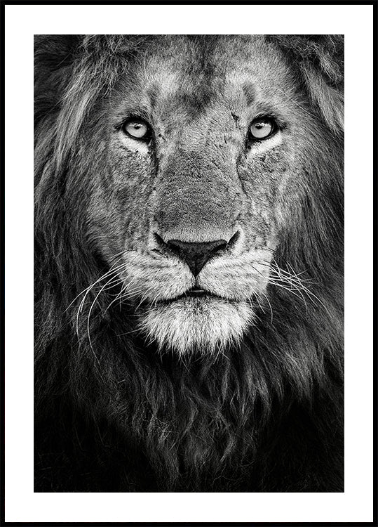 Póster Retrato real