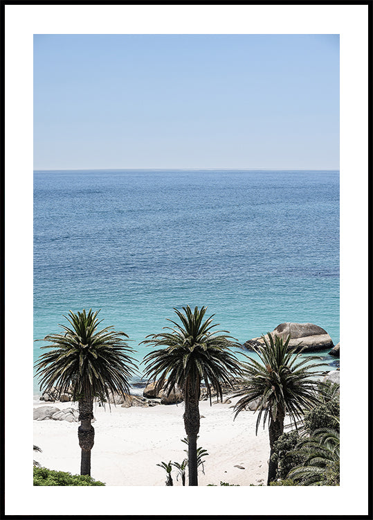 Serenidad Tropical