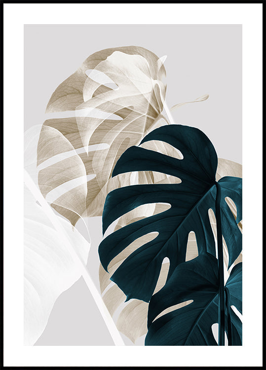 Monstera creativo 05