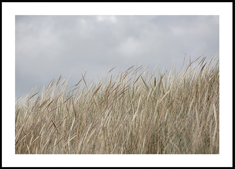 Dunas y nubes