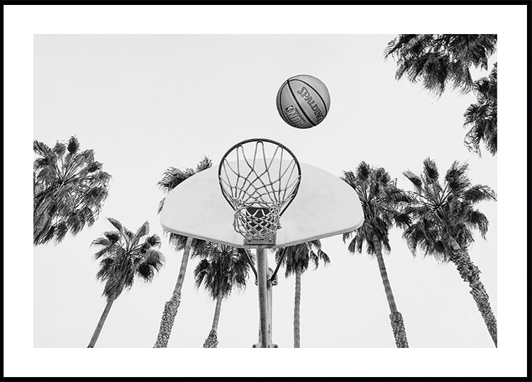 Baloncesto Póster