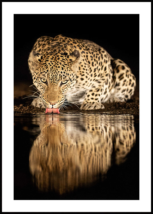 madre soltera Póster