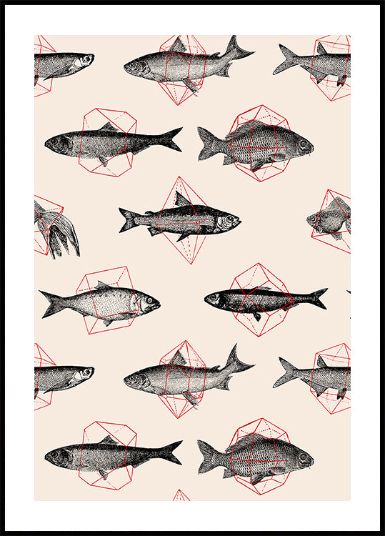 Peces En Geometria Nº4 Póster