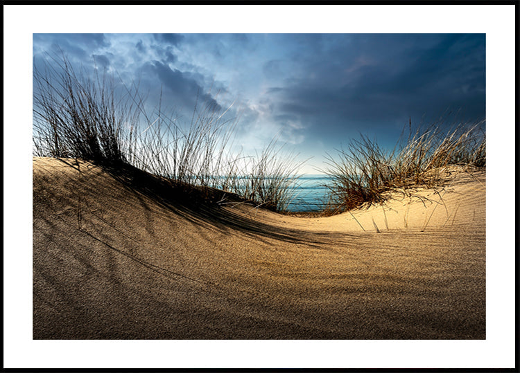 Dunas..........
