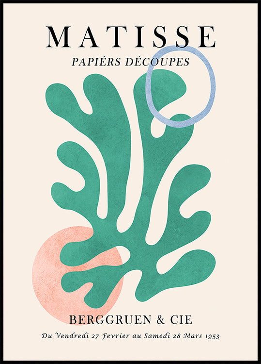 Póster Matisse floral 6