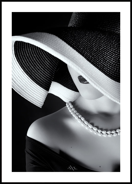 Elegancia en la sombra Póster