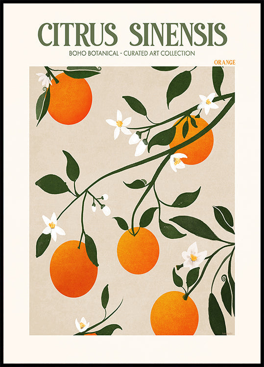 Elegancia naranja Póster