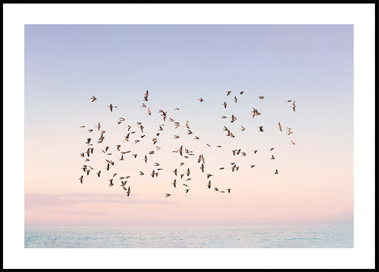 Vuelo al atardecer Póster