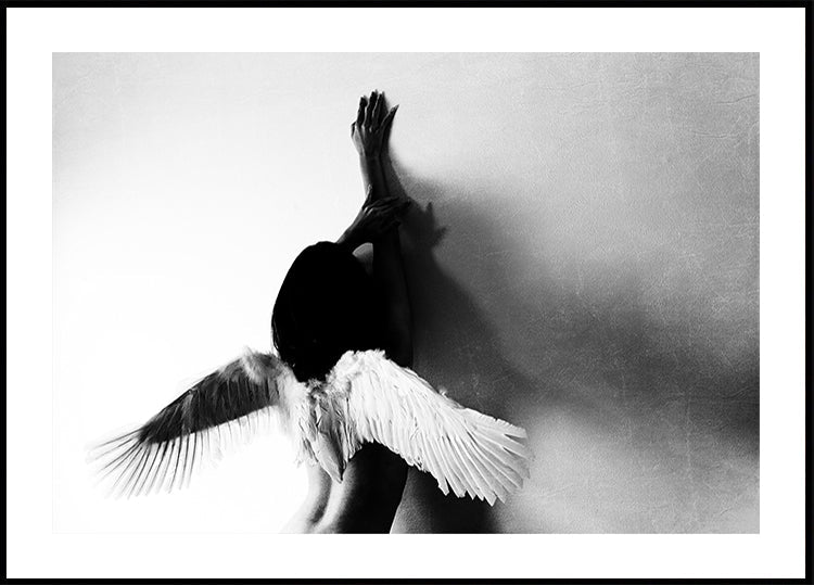 no volar