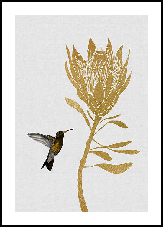Colibrí y flor en Póster