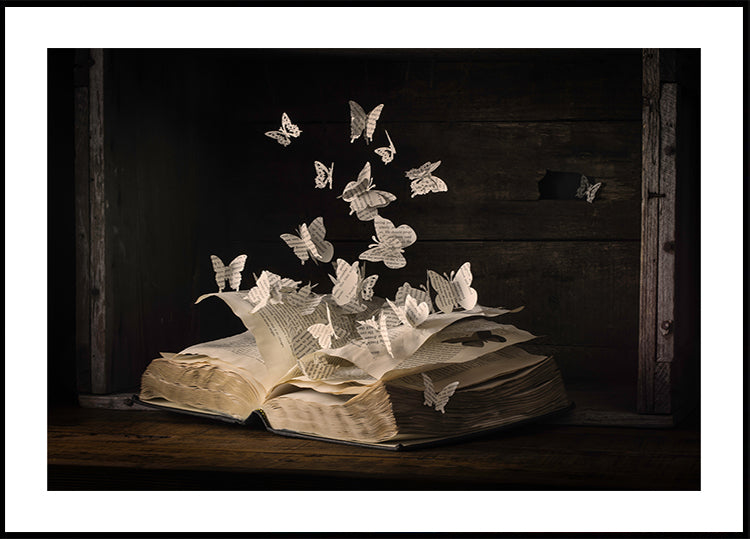 Lepidopterología