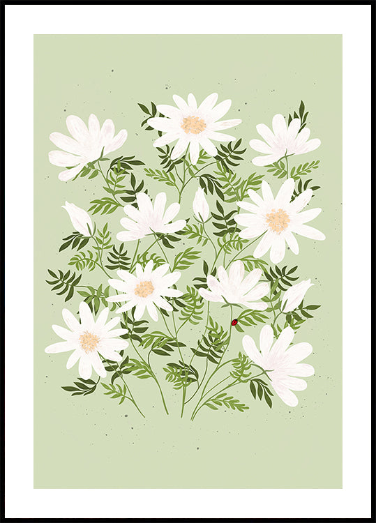 Flores de mariquita