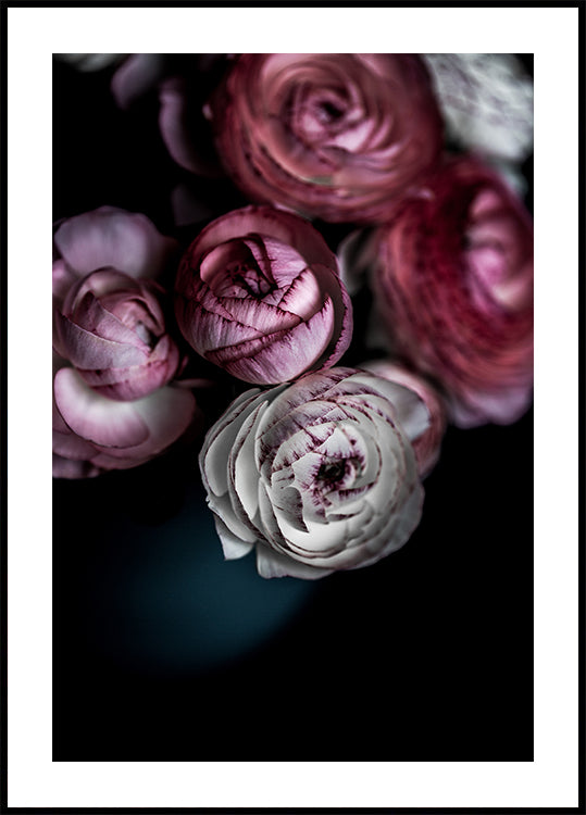 Flores oscuras 2