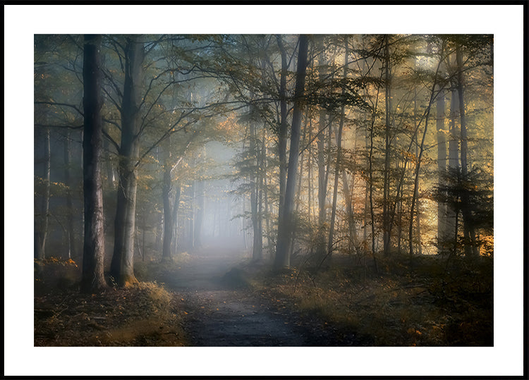 Póster Sinfonía de otoño