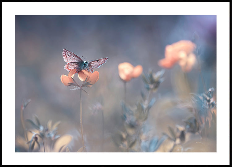 La dama de Lothlorien