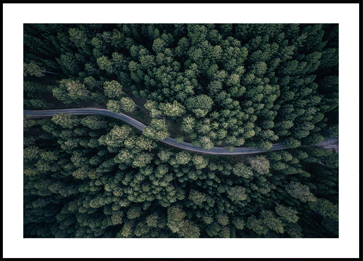 Desde arriba Póster