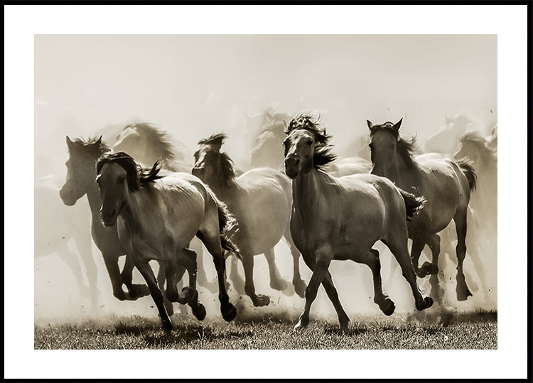 Caballo