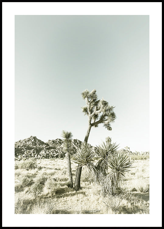 Impresión vintage del Parque Nacional Joshua Tree Póster