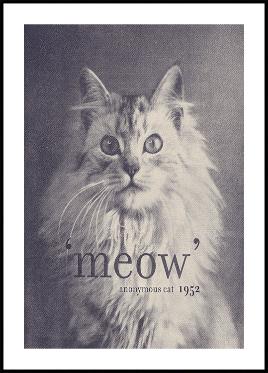 Gato de cita famosa Póster