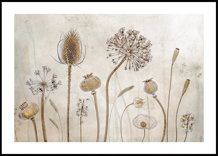 Póster Envejeciendo