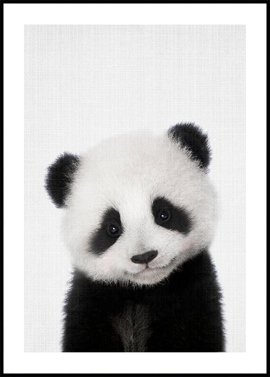 Peekaboo Bebé Panda